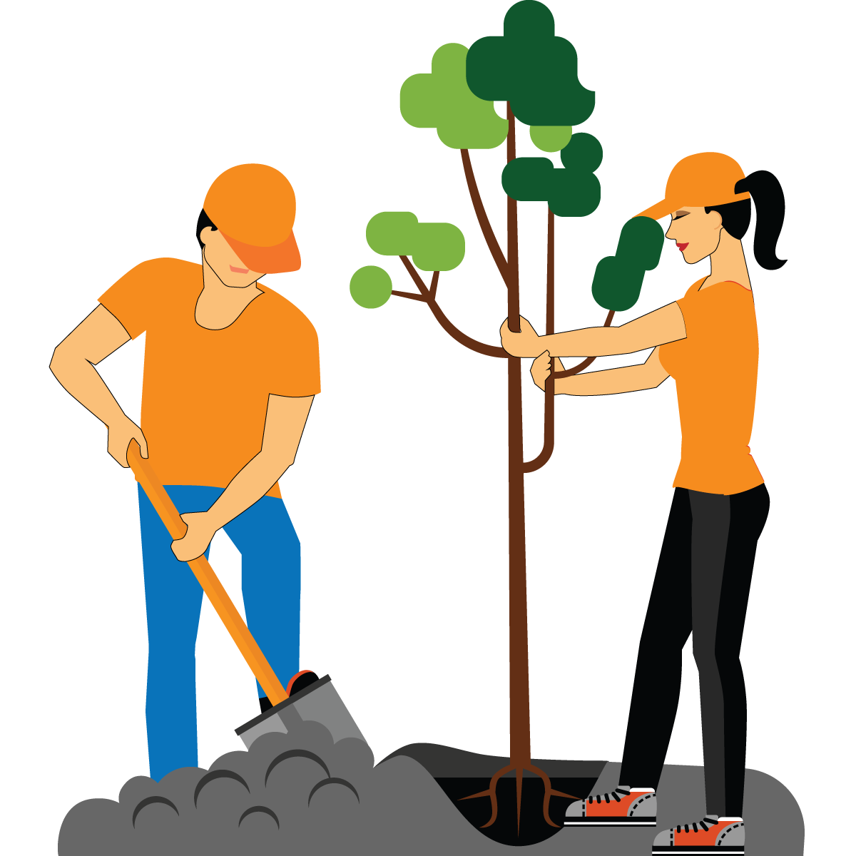 Volunteer